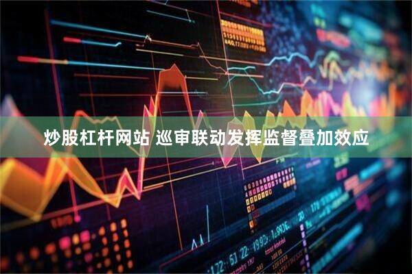 炒股杠杆网站 巡审联动发挥监督叠加效应